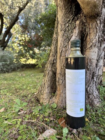 Il Sollievo – Bottiglia 750 ml
